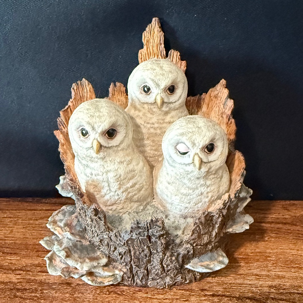 BORDER FINE ARTS Owl Figurine - Picture 3 of 16